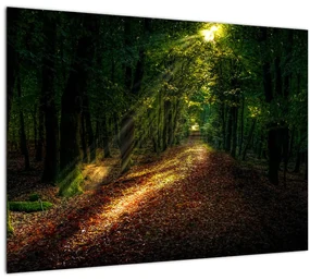 Tablou cu poteca prin pădure (70x50 cm), în 40 de alte dimensiuni noi