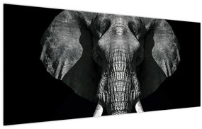 Tablou - Elefant pe fundal negru (120x50 cm)