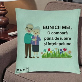 Cadou pentru Bunici - Perna Personalizata Bunicii Mei Comoara Cuplu Senior cu Flori Colorat, 40x40 cm, Verde Menta, Husa Detasabila, Perna Inclusa, BEKZ®