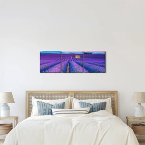 Tablou - Câmp de levănțica (cu ceas) (90x30 cm)