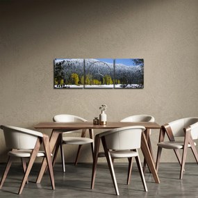 Tablou - munții înzăpeziți iarna (cu ceas) (90x30 cm)