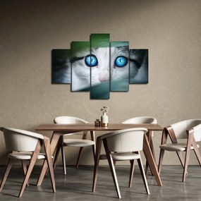 Tablou cu pisica (150x105 cm)