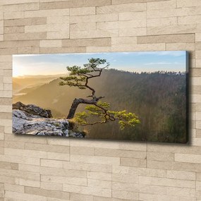 Tablou pe pânză canvas Pieniny sokolica