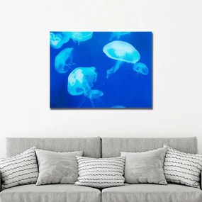 Tablou decorativ imagine imprimata pe sticla, Meduse 60x80cm Quallen A-37413 VC