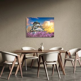 Tablou pe sticlă - Castelul Osaka (70x50 cm)