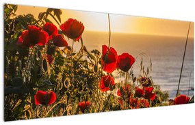 Tablou cu apus de soare cu flori de maci (120x50 cm), în 40 de alte dimensiuni noi