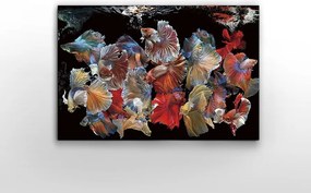 Tablou de perete decorativ Peces Siam, 150x100cm