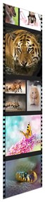 Fotojaluzele R014981R42150 (42x150 cm)