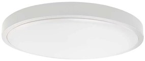 LED plafonieră exterior cu senzor LED/30W/230V 4000K IP44 alb