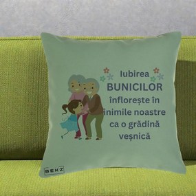 Cadou pentru Bunici - Perna Personalizata Bunicii Iubirea Infloreste Bunici cu Nepoata Colorat, 40x40 cm, Verde, Husa Detasabila, Perna Inclusa, BEKZ®