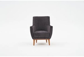 Fotoliu NUPI antracit