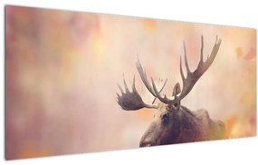 Tablou - Pădure în frunze de toamnă (120x50 cm)