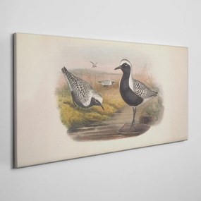 Tablou canvas Păsări Animale