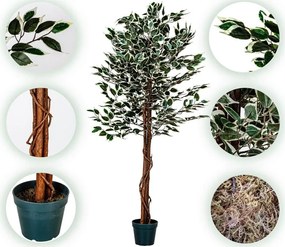 Planta de copac artificial - ficus - 160 cm