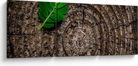 Tablou cu frunză pe trunchi de copac (cu ceas) (90x30 cm)