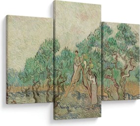 Tablou - Vincent van Gogh, The Olive Orchard, reproducere (90x60 cm)