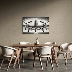 Tablou - Warbird (90x60 cm)