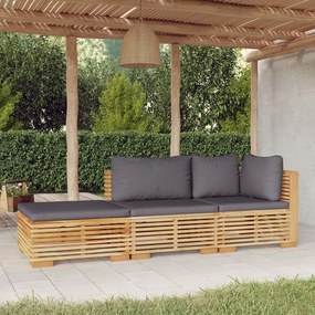 3100906 vidaXL Set mobilier grădină cu perne, 3 piese, lemn masiv de tec