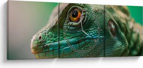 Tablou detailat cu o șopârlă (cu ceas) (90x30 cm)
