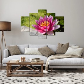 Tablou - Lotus (150x105 cm)
