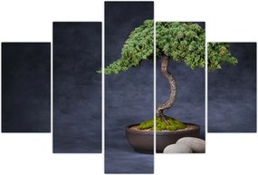 Tablou - Bonsai (150x105 cm)