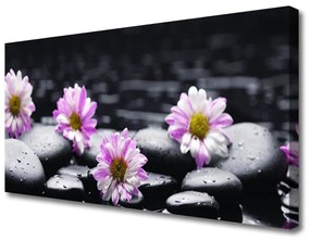 Tablou pe panza canvas Pietrele florale flori roz alb negru