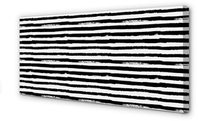 Tablouri canvas dungi neregulate de o zebră