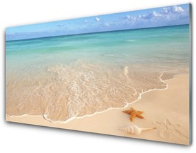 Tablouri acrilice Sea Beach Peisaj Starfish Albastru Maro