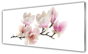 Tablouri acrilice Flori Floral Roz Alb