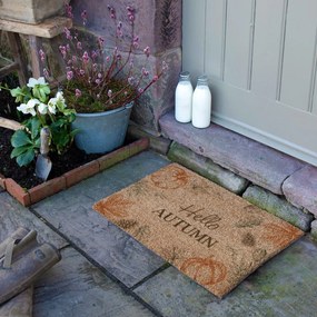 Covoraș de intrare din fibre de nucă de cocos 40x60 cm Hello Autumn – Artsy Doormats