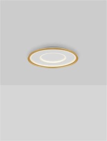 Plafoniera LED dimabila cu telecomanda FIGIN D-50cm