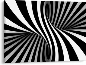 Tablou abstract cu dungi de zebră (70x50 cm)