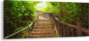 Tablou - Scări în natură (120x50 cm)