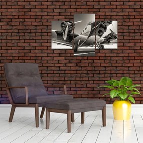 Tablou - Avioane istorice (90x60 cm)