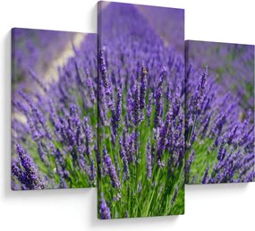 Tablou - lavanda (90x60 cm)