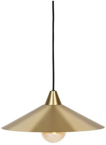 Lustră pe cablu Atmosphera ROSIE 1xE27/40W/230V