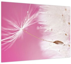 Tablou - Floare macro (70x50 cm)