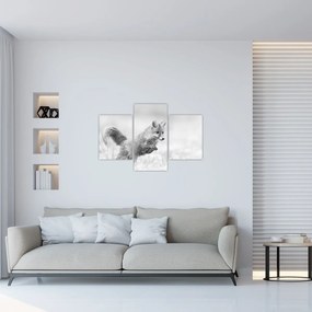 Tablou - Vulpe care sare,alb-negru (90x60 cm)