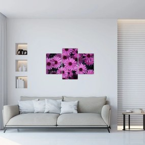 Tablou cu florile roz (90x60 cm)