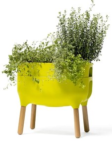 Recipient de cultivare din plastic cu sistem de auto-irigare Urbalive – Plastia