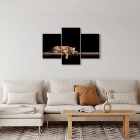 Tablou - Lioness (90x60 cm)