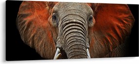Tablou - Elefanți cu Tsavo (120x50 cm)