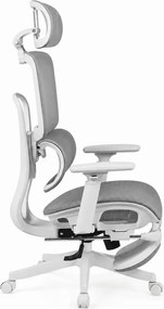 Scaun Ergonomic Premium Mesh cu Suport pentru Picioare, Reclinare 145°, Tetieră Reglabilă, Cotiere 3D, Suport Lombar Elastic și Șezut cu adâncime reglabilă, Gri