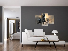 Tablou - Cai (90x60 cm)