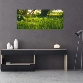 Tablou cu natura - lunca (120x50 cm), în 40 de alte dimensiuni noi