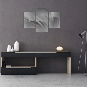 Tablou - Picătură pe floare,alb-negru (90x60 cm)