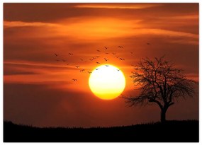 Tablou pe sticlă - Apus de soare (70x50 cm)