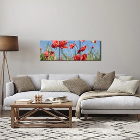 Tablou - Maci (cu ceas) (90x30 cm)