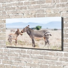 Print pe canvas Zebre în munți