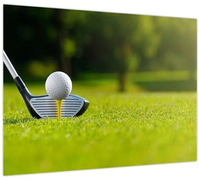 Tablou pe sticlă - Golf (70x50 cm)
